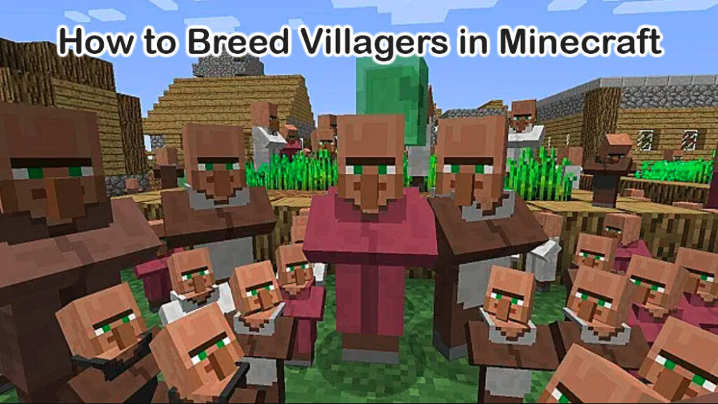 How Breed Villagers in Minecraft 
