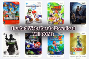 Trusted Websites to Download Wii ROMs