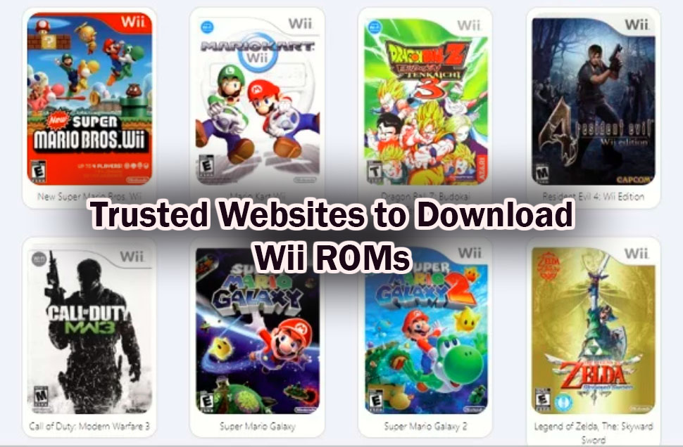 Trusted Websites to Download Wii ROMs